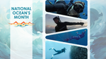 Diving Deep: Benzie on Ocean Passion, Conservation, and Australia's Underwater Wonders