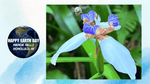 greenteaHAWAII Earth Day with a Hike to Manoa Falls