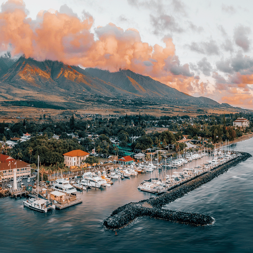 Aloha for Maui & the Impacted Communities from greenteaHAWAII