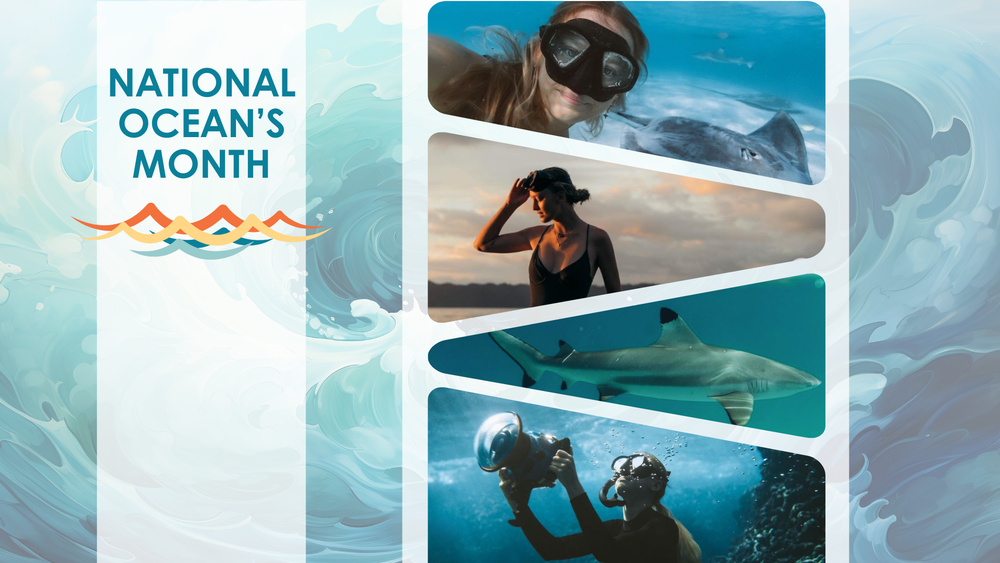 National Ocean’s Month Feature: Taylor Dewey - Her Lens Beneath the Waves
